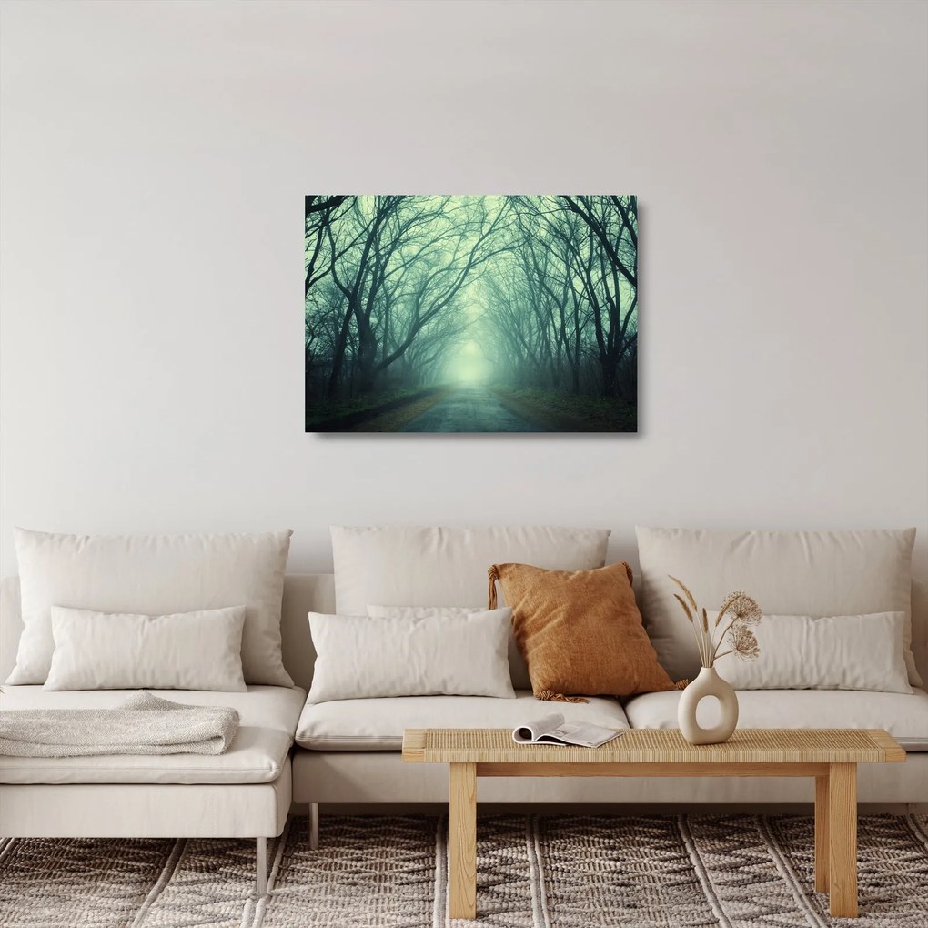 Sklenený obraz - Cesta s alejou stromov (70x50 cm)