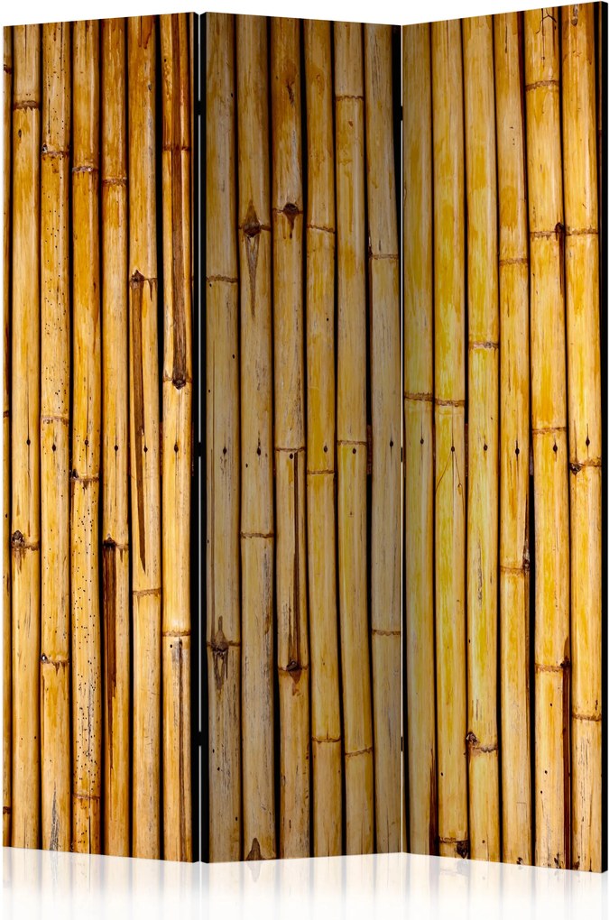Paraván - Bamboo Garden [Room Dividers] 135x172 7-10 dní