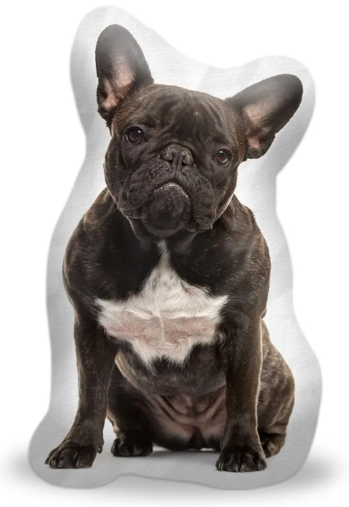 Sablio 3D vankúš Francúzsky buldoček 2