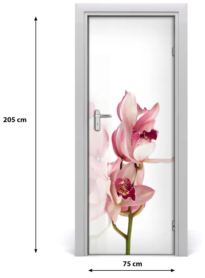 Fototapeta na dvere ružová orchidea 75x205 cm