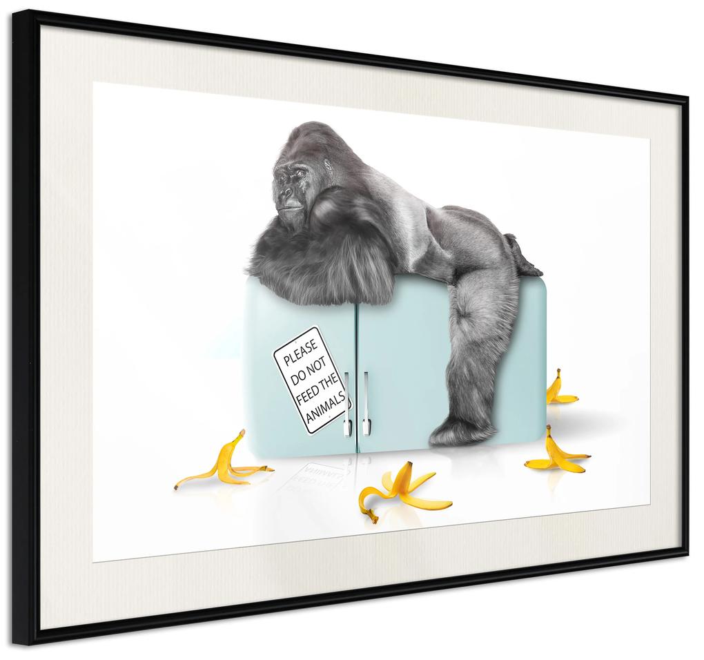 Artgeist Plagát - Hungry Gorilla [Poster] Veľkosť: 30x20, Verzia: Zlatý rám s passe-partout