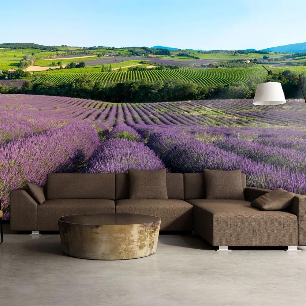 Artgeist Fototapeta - Lavender fields Veľkosť: 200x154, Verzia: Premium