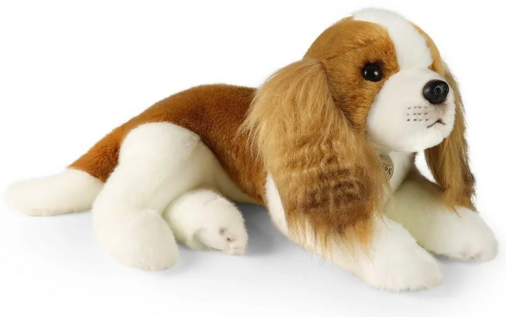 Rappa Plyšový pes Cavalier King Charles Spaniel 40cm ECO - FRIENDLY
