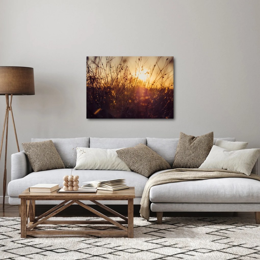 Obraz poľa pri západe slnka (70x50 cm)
