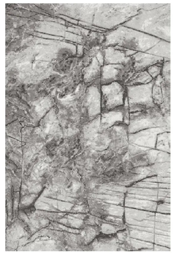 Koberec Frisee Phoenix 2,0/3,0 6057 544