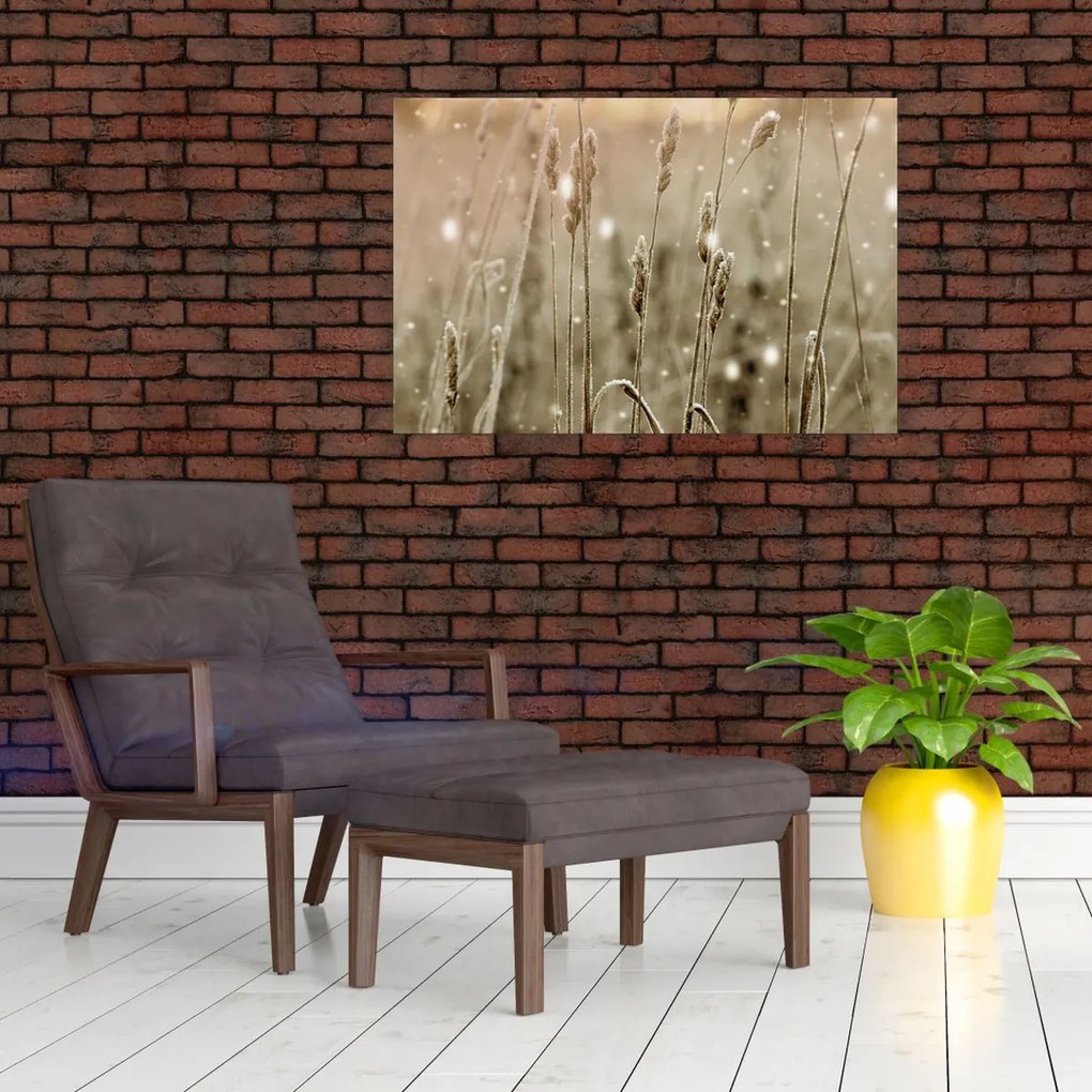 Obraz - Harmonická lúka (90x60 cm)