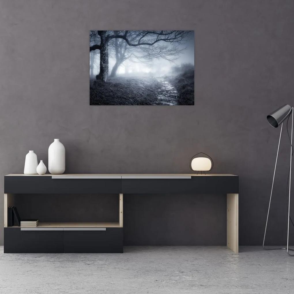 Sklenený obraz - Cesta v hmle (70x50 cm)