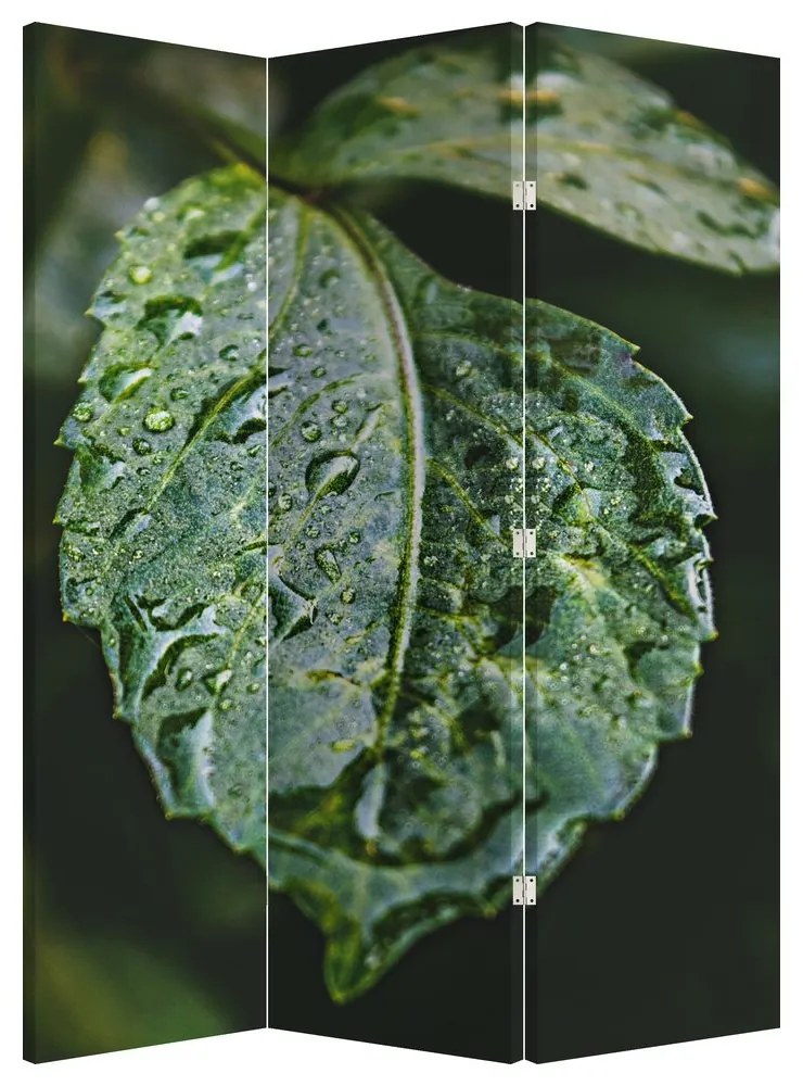 Paraván - Kvapky na liste (126x170 cm)