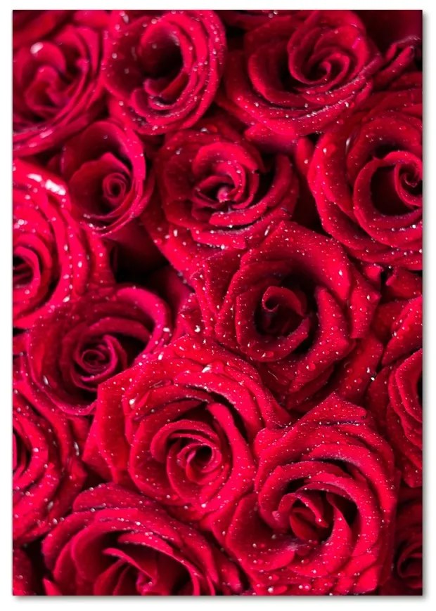 Foto obraz akrylový do obývačky Červené ruže pl-oa-70x100-f-122317792