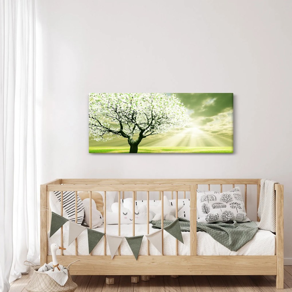 Obraz stromu na lúke (120x50 cm)