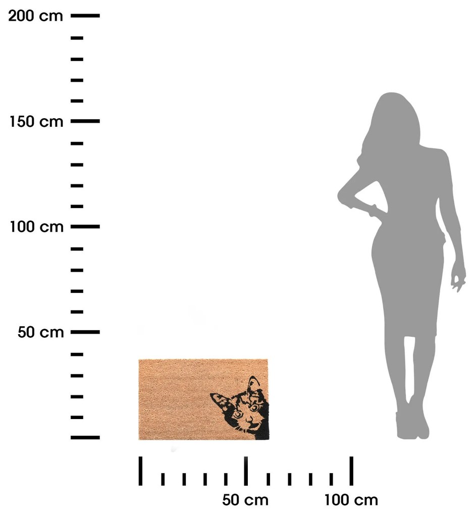 Vonkajšia rohožka Kitty, 60x40 cm
