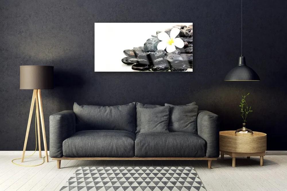 Skleneny obraz Kvety kamene umenie 120x60 cm