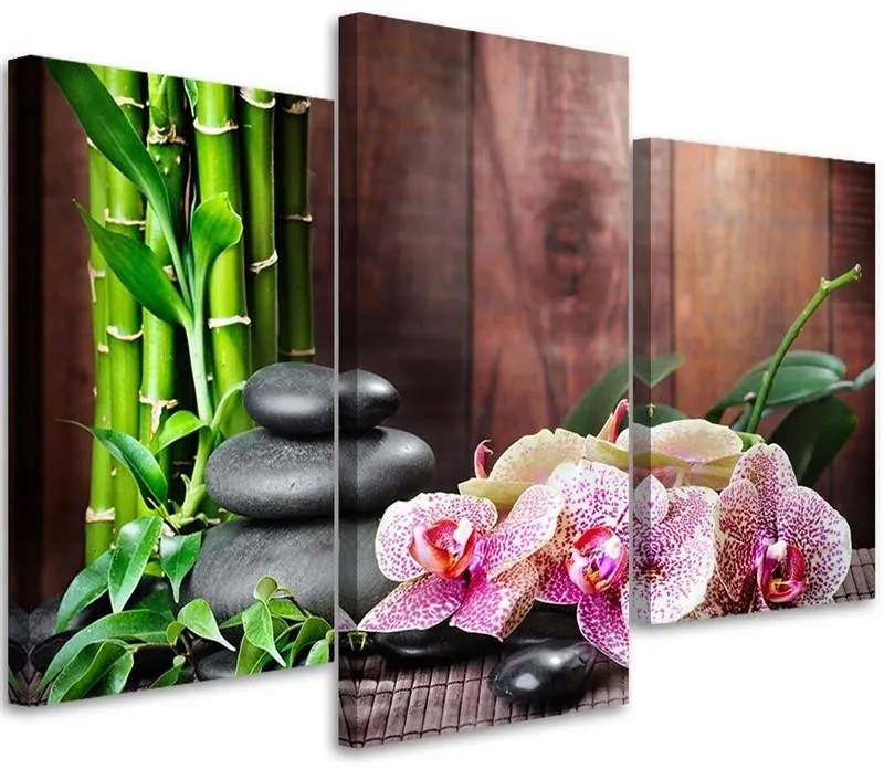 Gario Obraz na plátne Orchidea, bambus a kamene - 3 dielny Rozmery: 150 x 100 cm