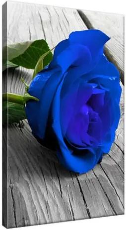 Obraz na plátne Nádherná modrá ruža na móle 20x30cm 2213A_1S