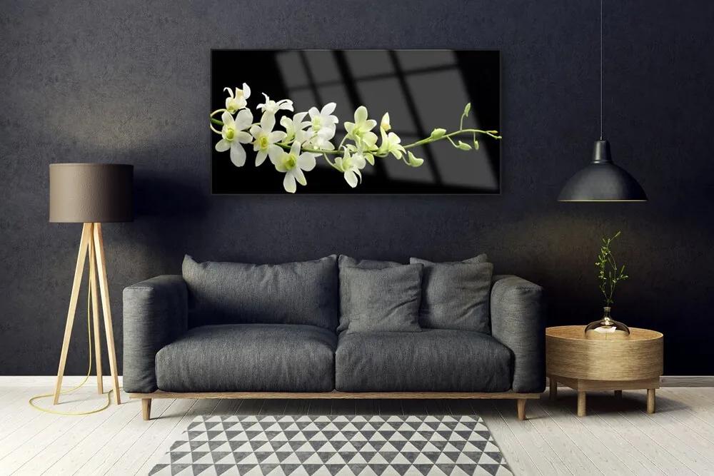 Obraz na akrylátovom skle Kvety rastlina príroda 120x60 cm