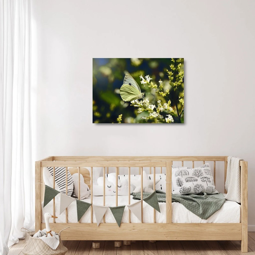 Sklenený obraz motýľa (70x50 cm)