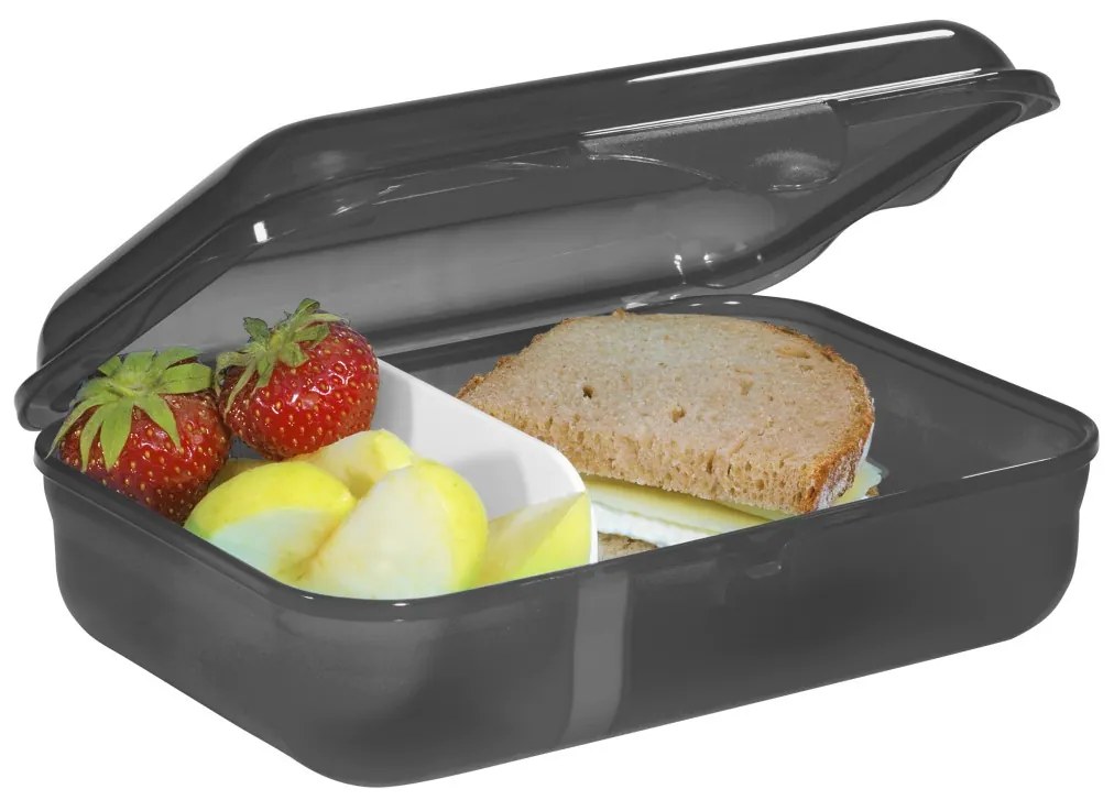 Krabička na desiatu Step by Step, Wild T-Rex Taro