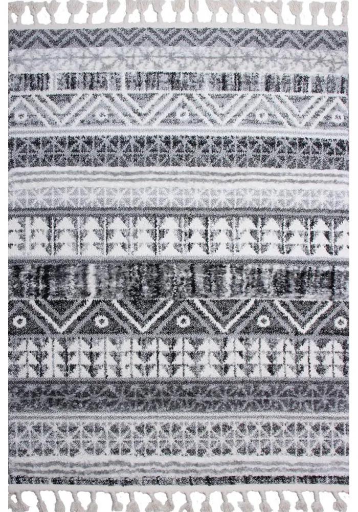 Kusový koberec Shaggy Derby sivý 120x170cm