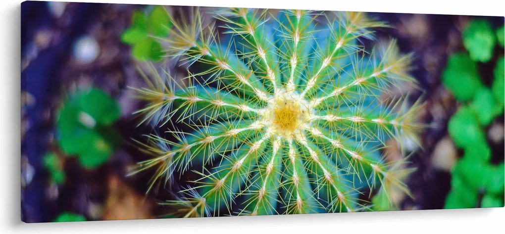 Obraz kaktusu (120x50 cm)