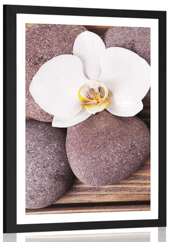 Plagát s paspartou wellness kamene a orchidea na drevenom pozadí - 30x45 silver