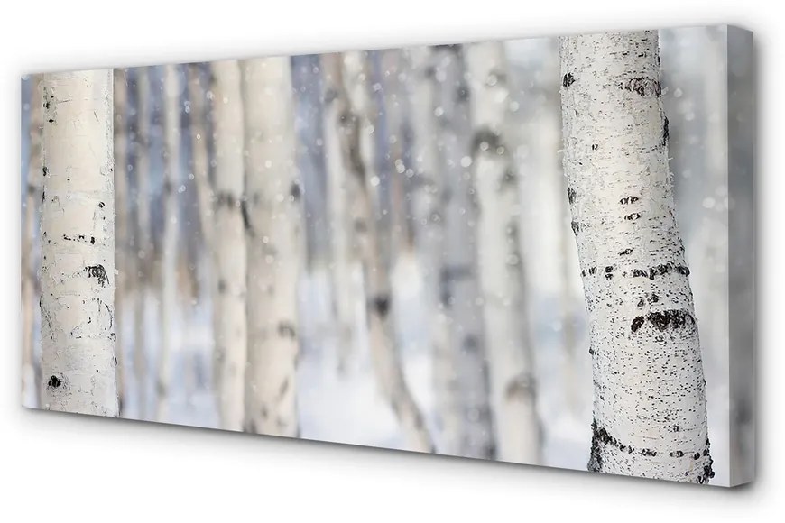 Obraz canvas Stromy v zime sneh 120x60 cm