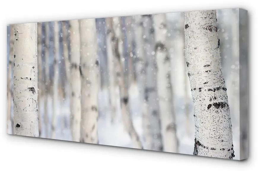 Obraz canvas Stromy v zime sneh 140x70 cm