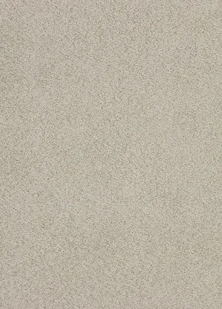 Koberce Breno Metrážny koberec EQUATOR 37, šíře role 400 cm, béžová