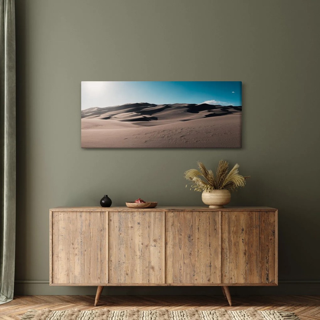 Obraz - Z púšte (120x50 cm)