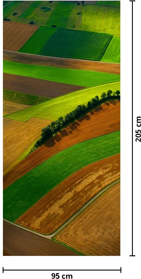 Fototapeta na dvere - Pole (95x205cm)