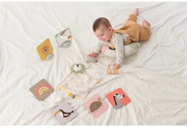 Taf Toys - Darčekový box HELLO BABY