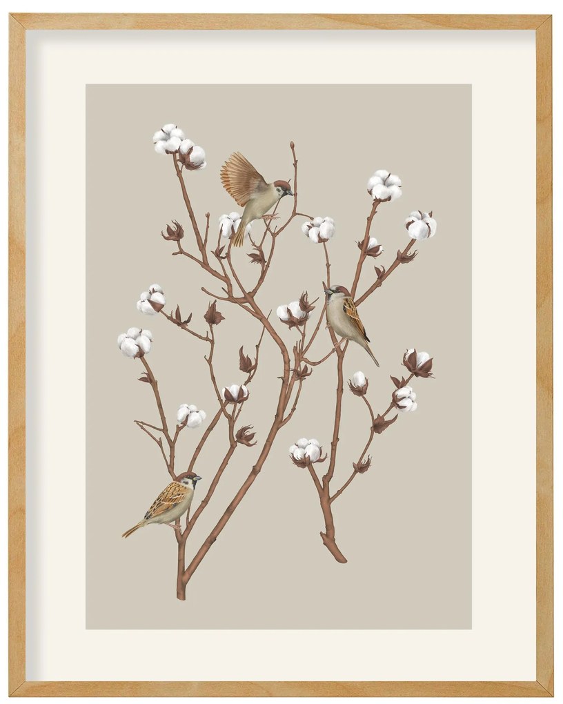 SPARROW ON COTTON PLANT