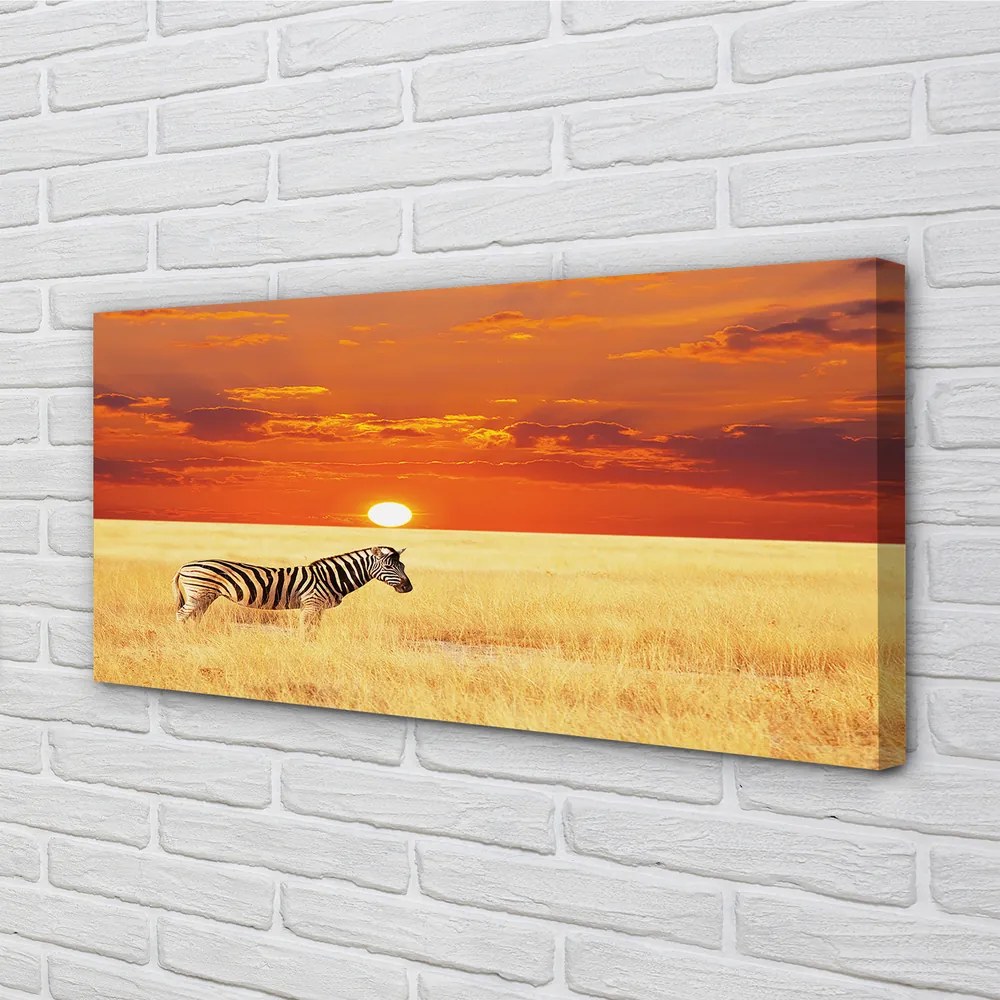 Obraz na plátne Zebra poľa sunset 125x50 cm