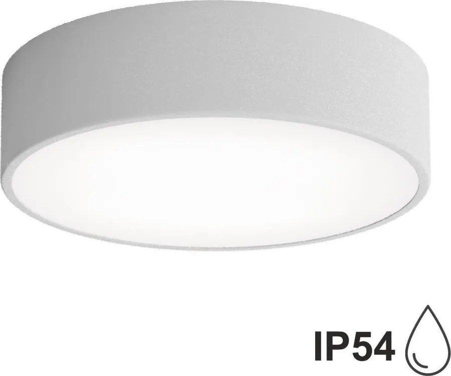 Kúpeľňové stropné svietidlo so senzorom CLEO 2xE27/24W/230V, priemer 30 cm, sivé, IP54
