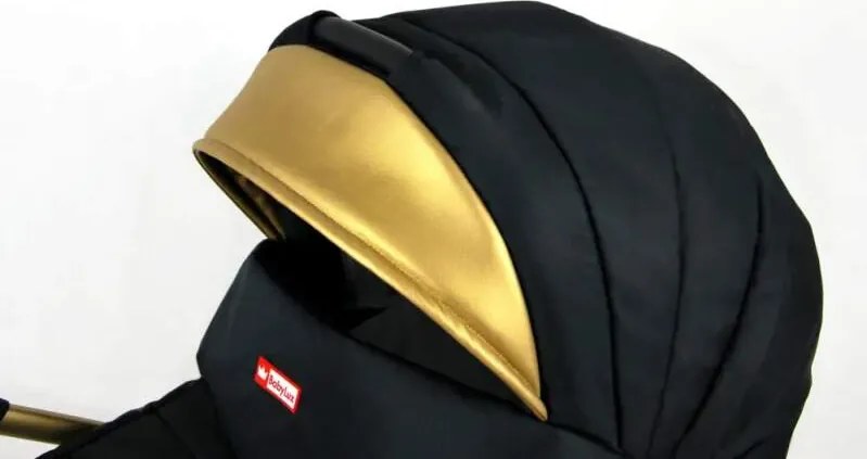 Kombinovaný kočík Raf-pol Gold lux - Royal Purple (2-kombinácia)