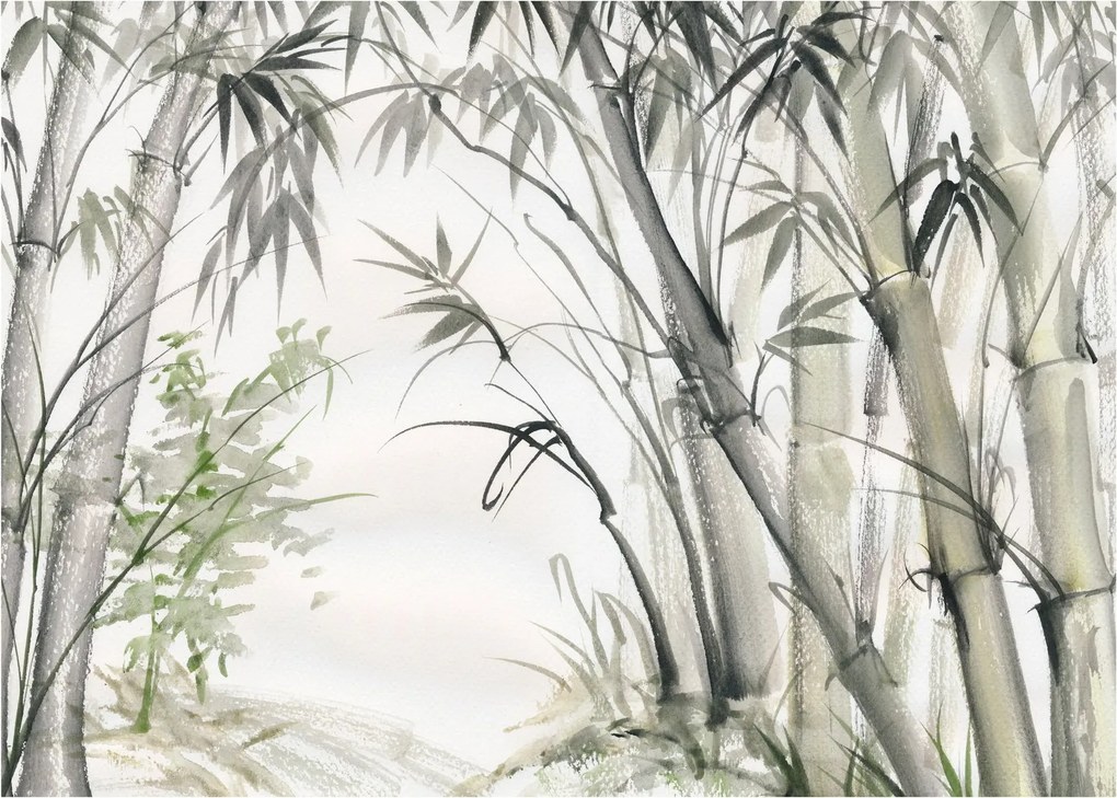 Obraz - Bambusy, kresba (70x50 cm)