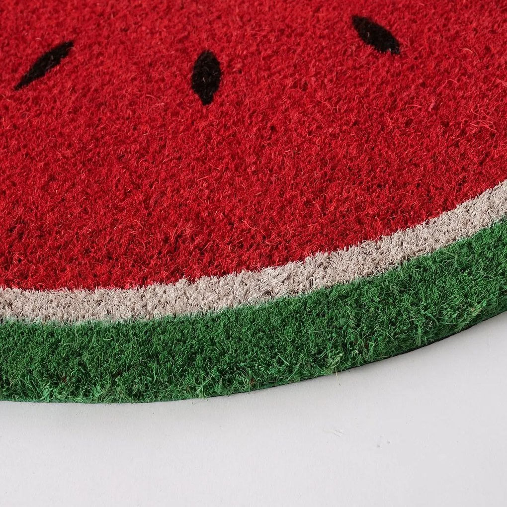 BOLTZE Vnútorná rohožka Melone, 60x40 cm