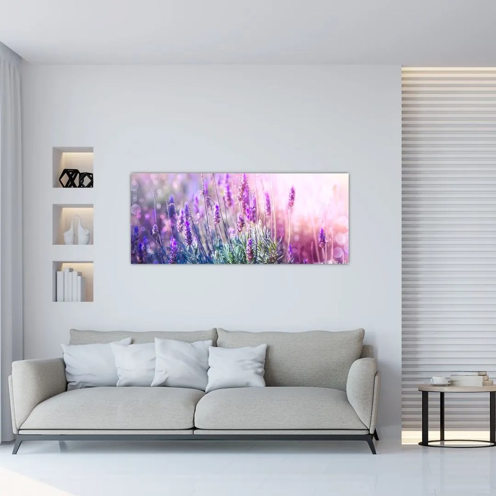 Obraz - Levanduľa vo trblietania slnka (120x50 cm)