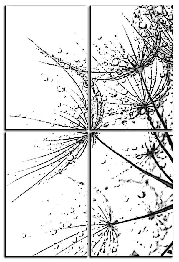 Obraz na plátne - Pampeliškové semienka s kvapkami vody - obdĺžnik 7202QE (120x80 cm)