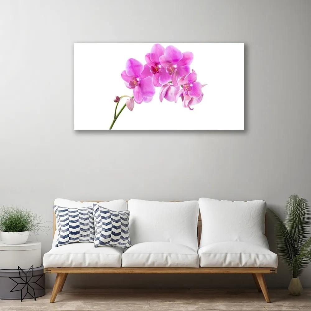 Obraz plexi Vstavač kvet orchidea 100x50 cm