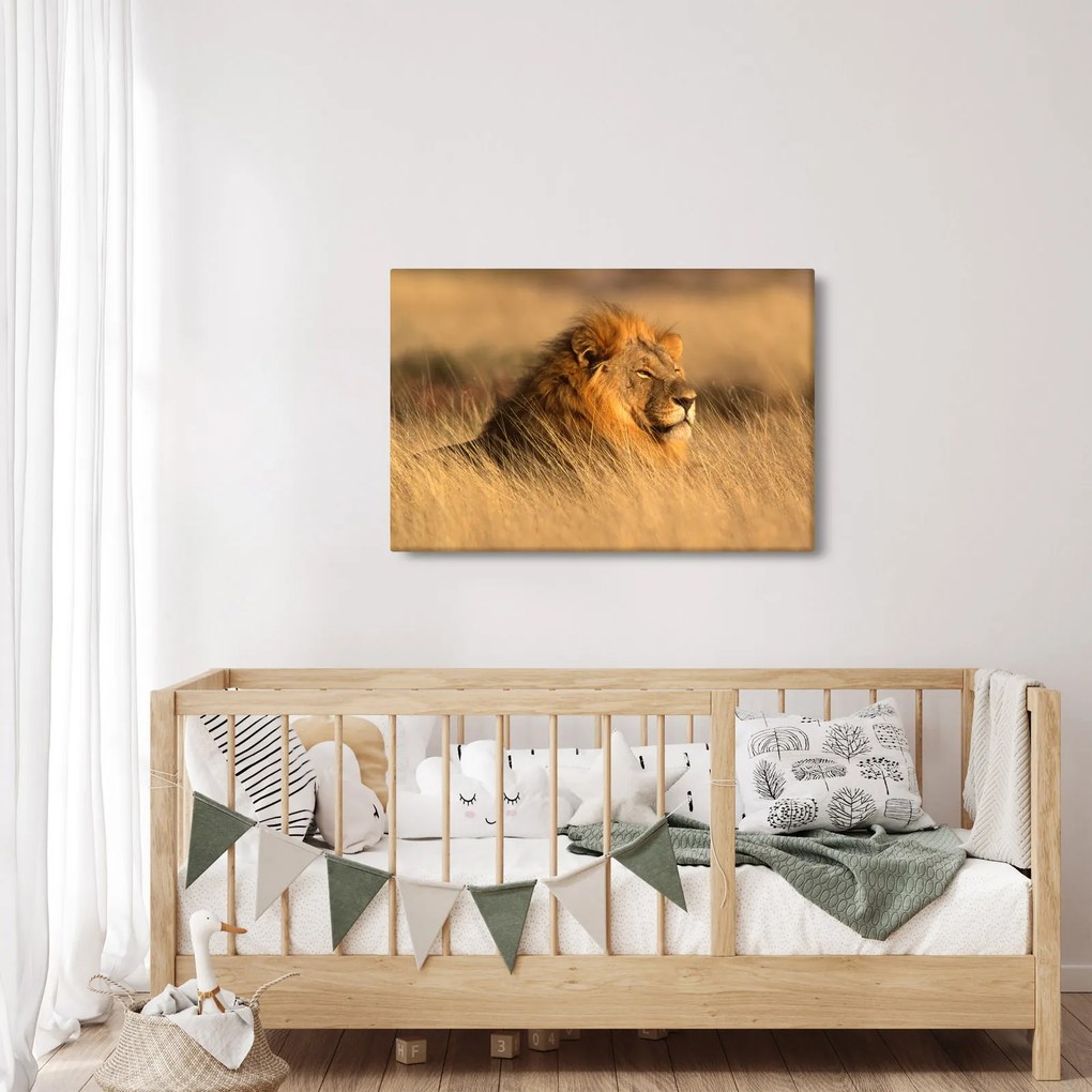 Obraz - Národný park Etosha (90x60 cm)