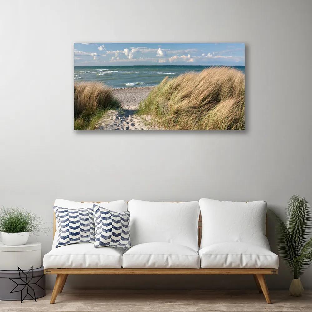 Obraz Canvas Pláž more tráva krajina 125x50 cm