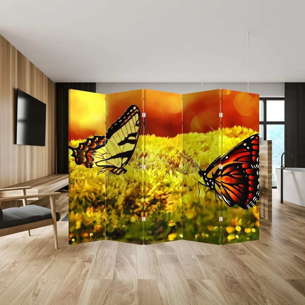 Paraván - Motýle (210x170 cm)