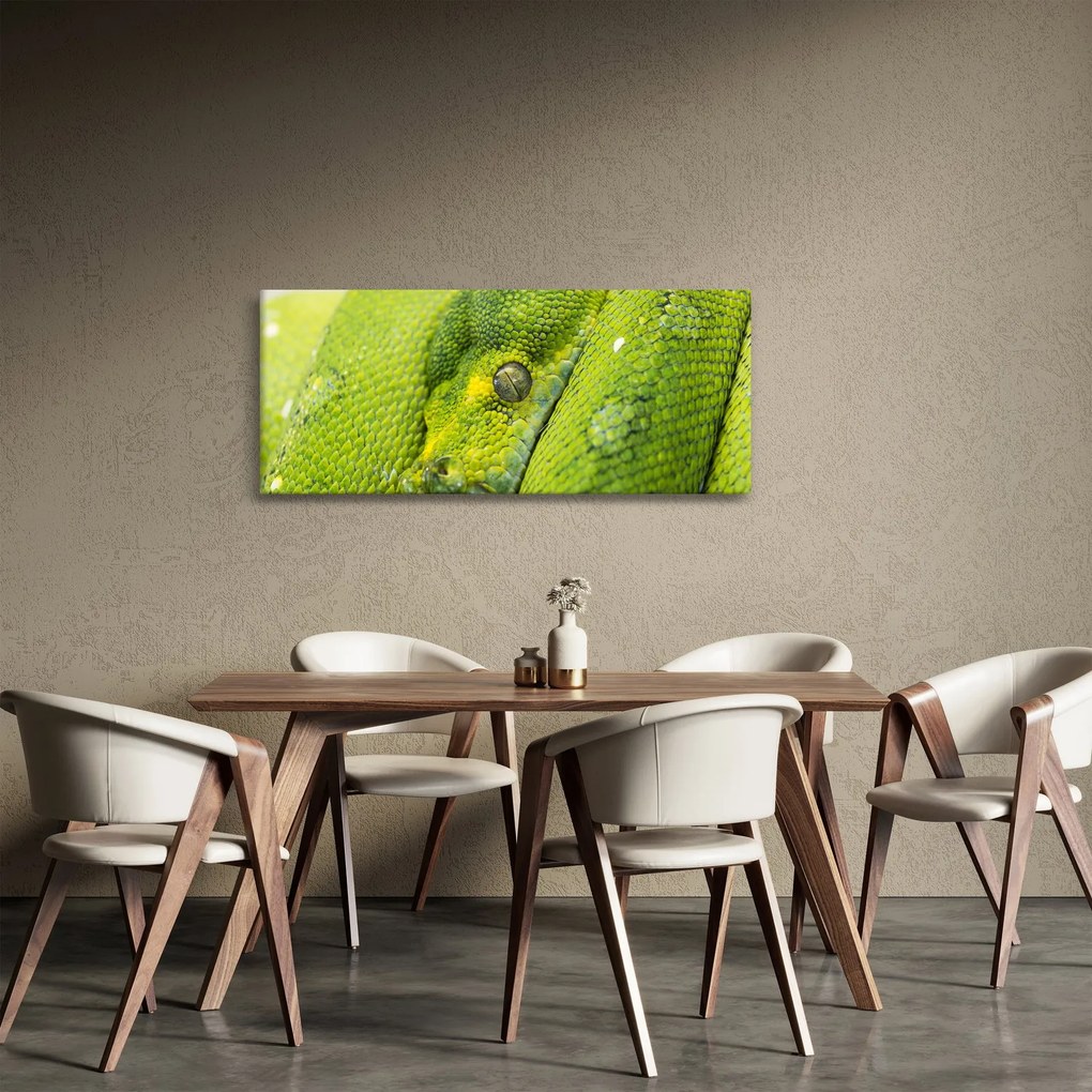Obraz hada (120x50 cm)