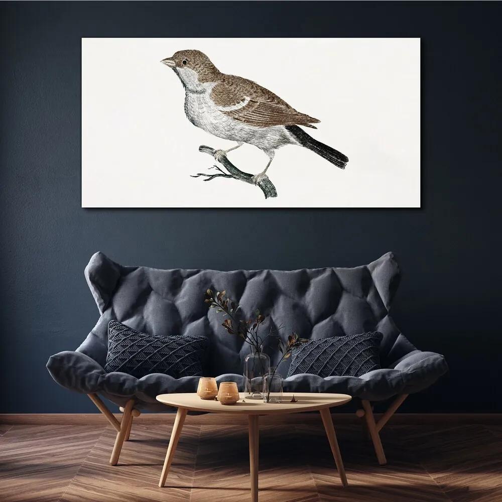 Obraz na plátne Kreslenie vetva zvierat vták