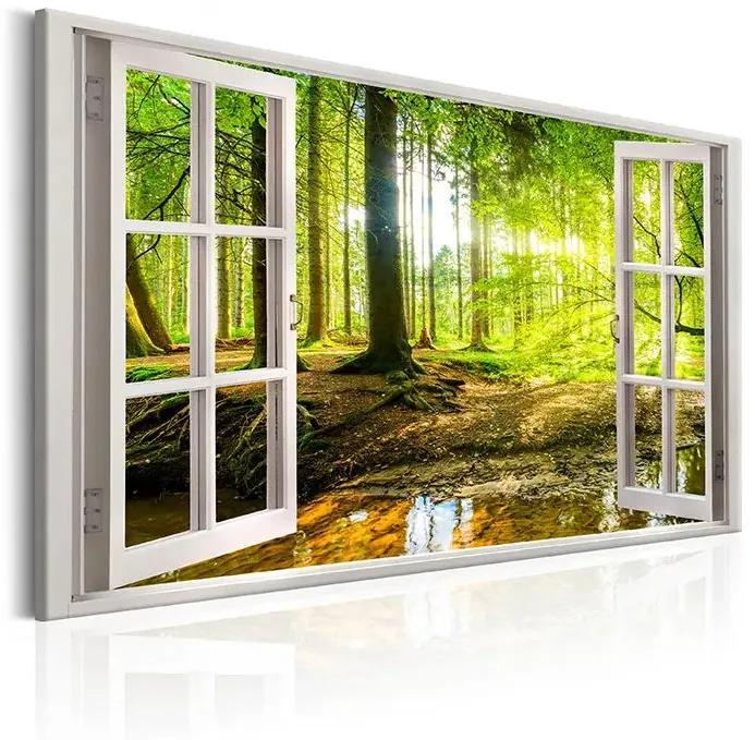 Obraz - Window: View on Forest Veľkosť: 30x20, Verzia: Na talianskom plátne