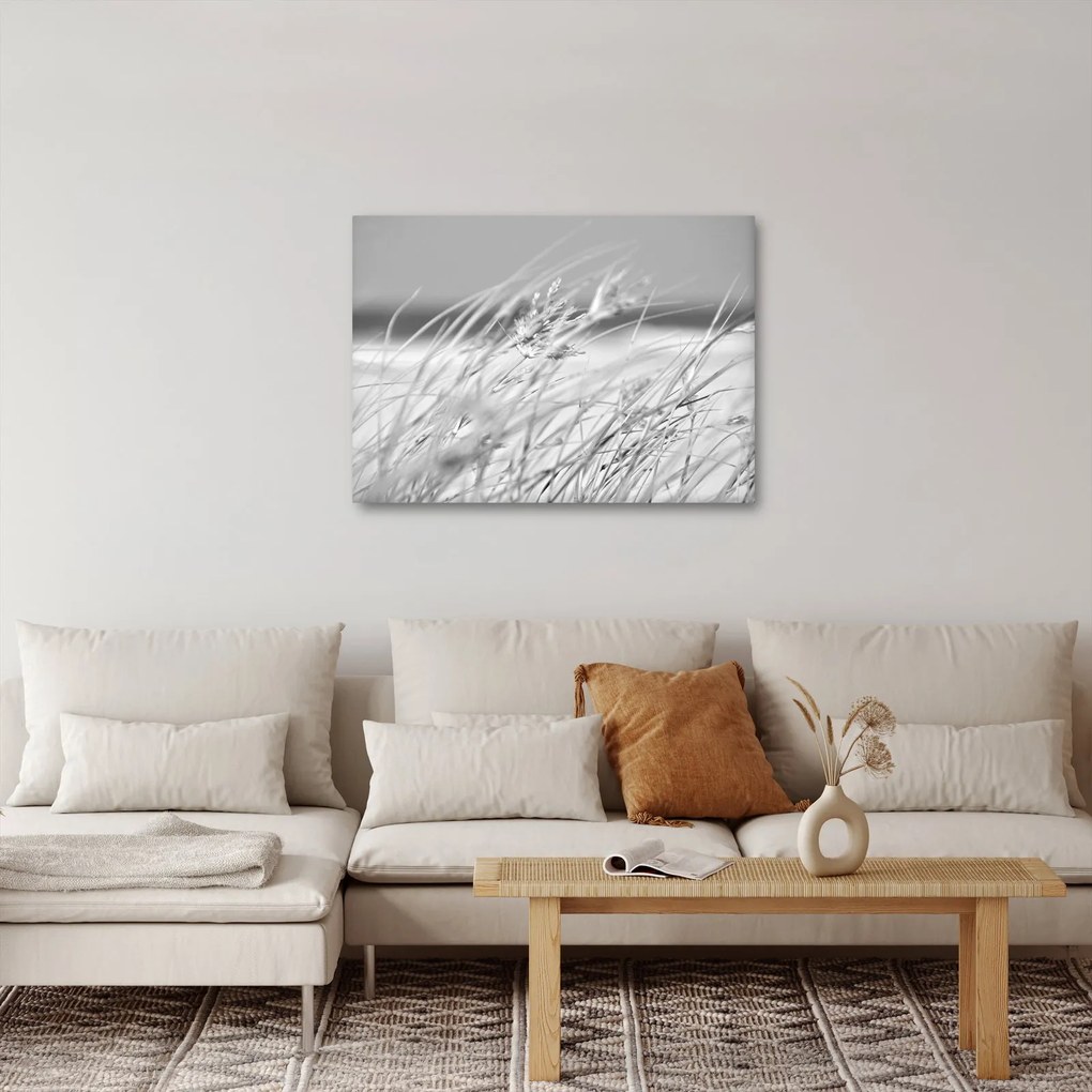 Obraz - Plážová tráva (70x50 cm)