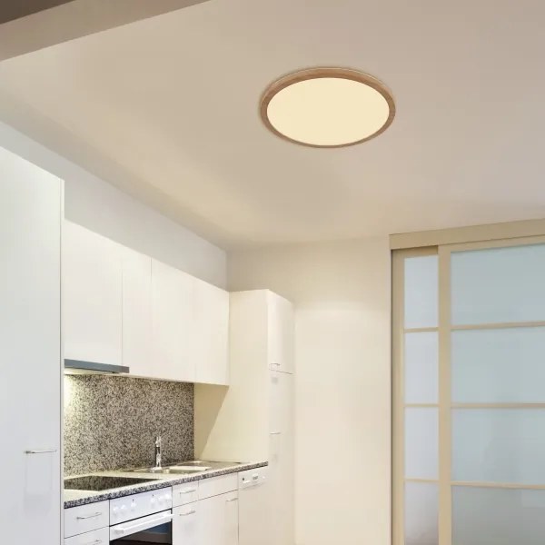 Globo 41562-24WW - LED Stmievateľné kúpeľňové svietidlo SAPANA LED/24W/230V IP44