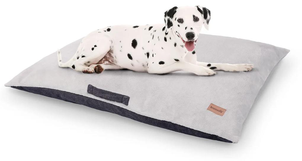 Henry, pelech pre psa, psia podložka, umývateľný, ortopedický, protišmykový, priedušný, pamäťová pena, veľkosť L (100 x 10 x 70 cm)