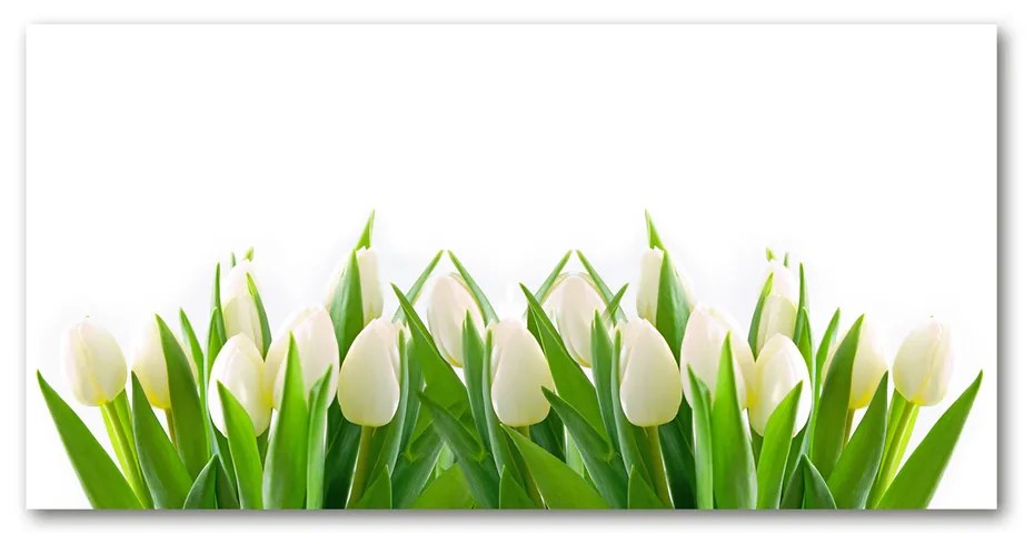 Foto obraz akrylový Biele tulipány pl-oa-140x70-f-30153186