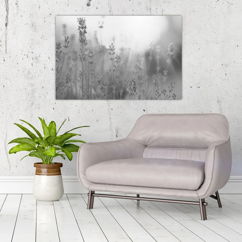 Obraz - Levanduľa (90x60 cm)